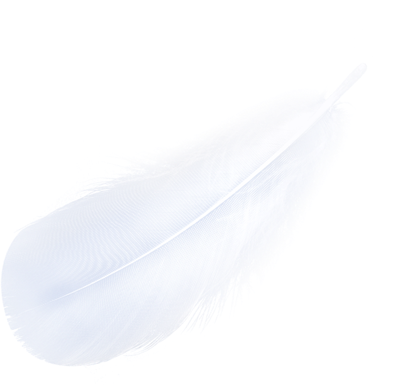 Light Like Feather, Stay Refreshing. 3