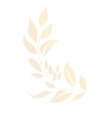 Prêmio HONOR Futura Estrela do Design (Primeiro Lugar) 2