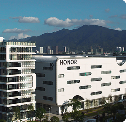 Operación ecológica  - 6