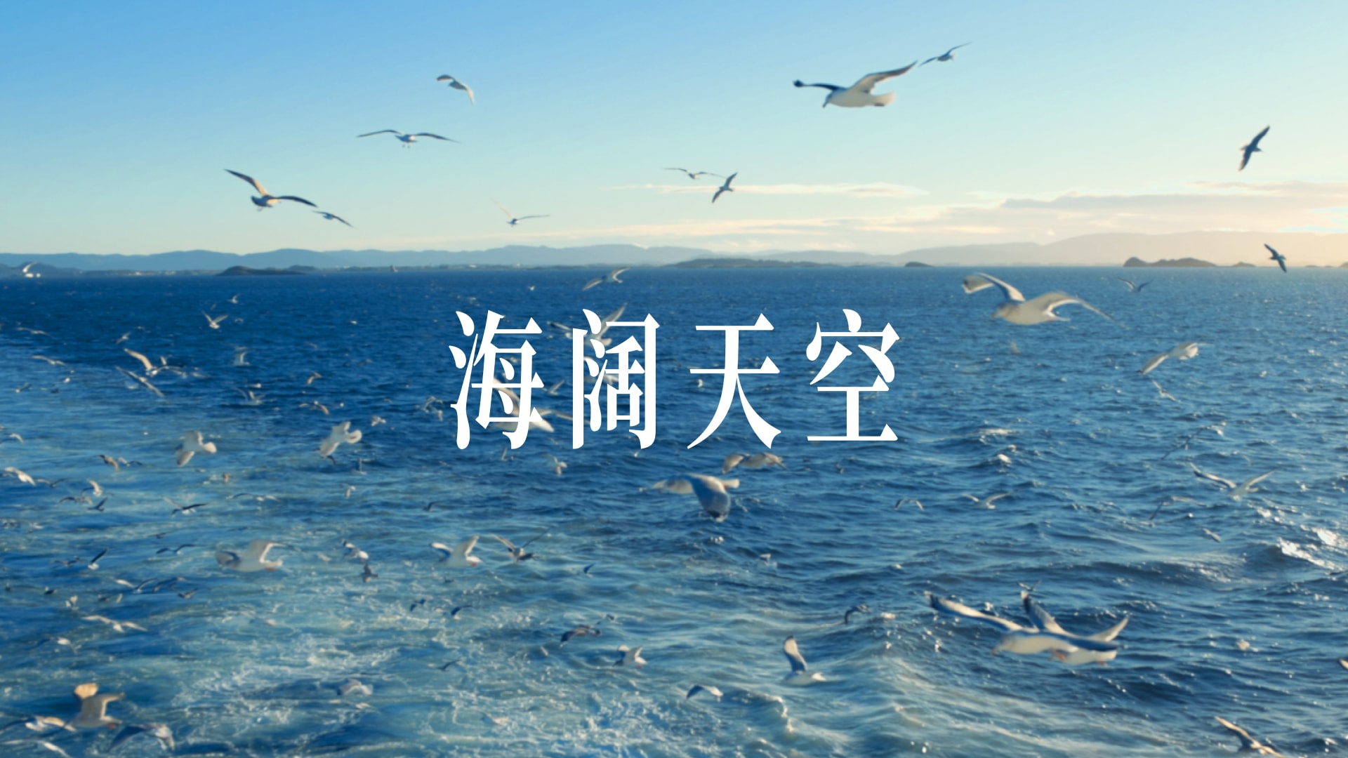 一直游向 海阔天空