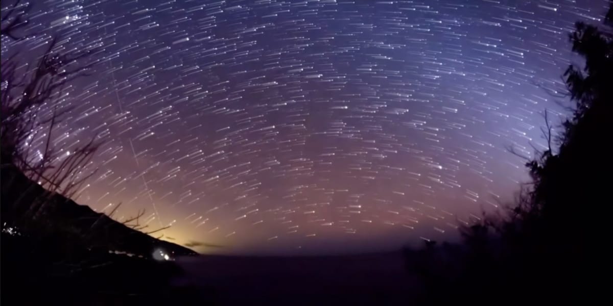 最佳新锐奖（25名）