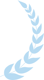 专家评审奖项 2