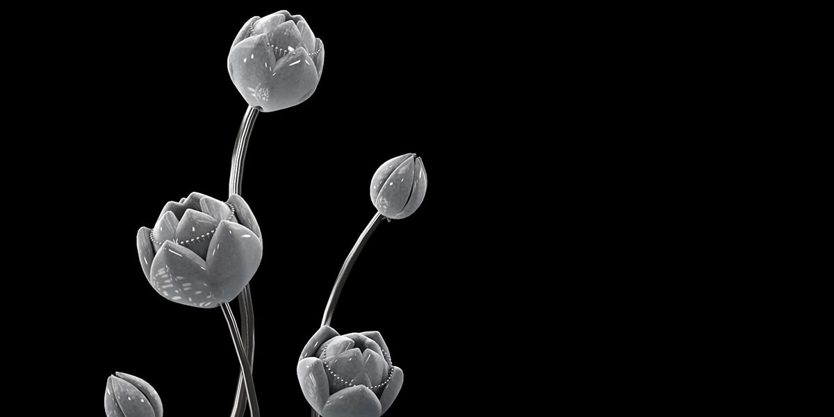 最佳新锐奖（20名）