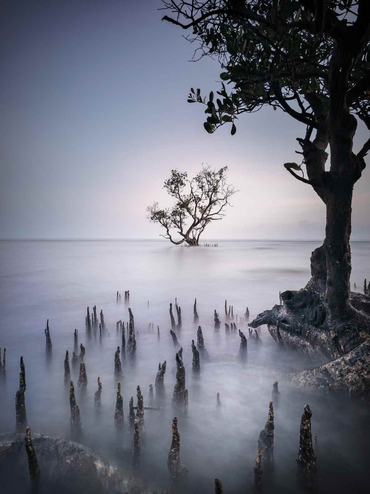 海中美树