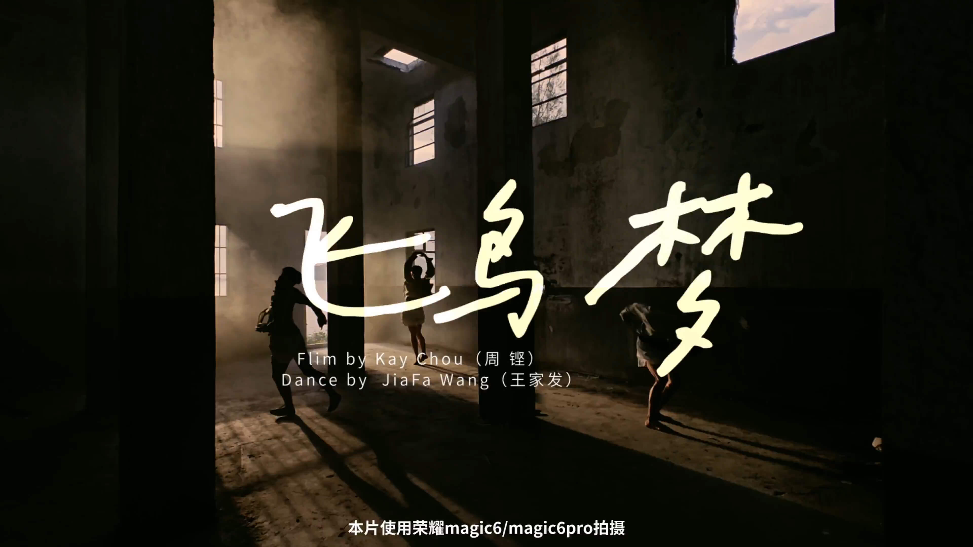 飞鸟梦