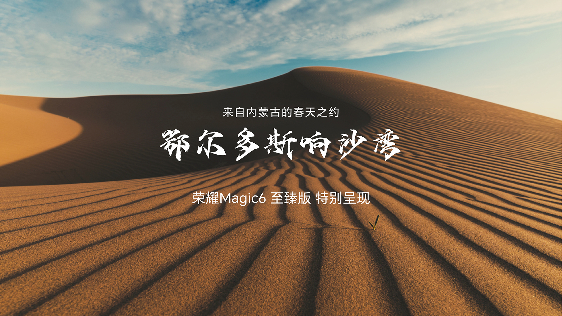 内蒙响沙湾