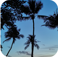 百变风格，选你所爱 - 20