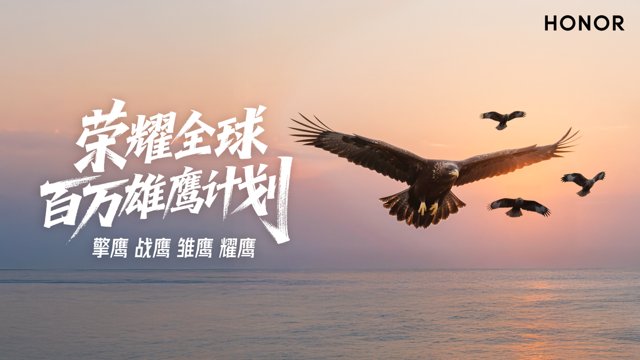 全球百万雄鹰计划