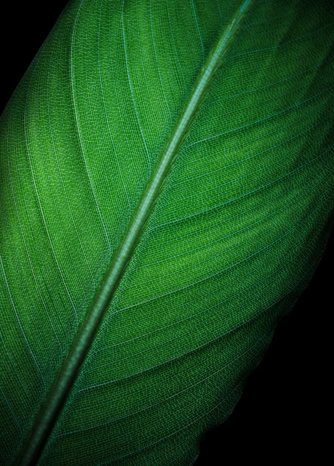 超高频PWM零风险调光