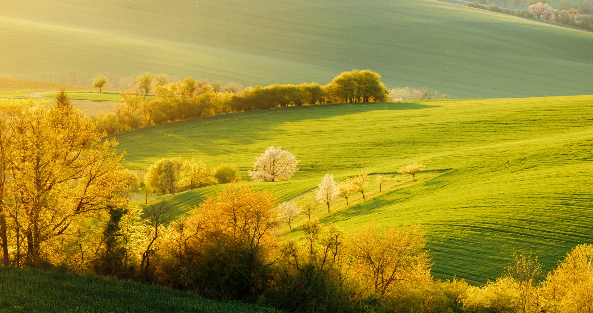 用眼健康 多重保障 2