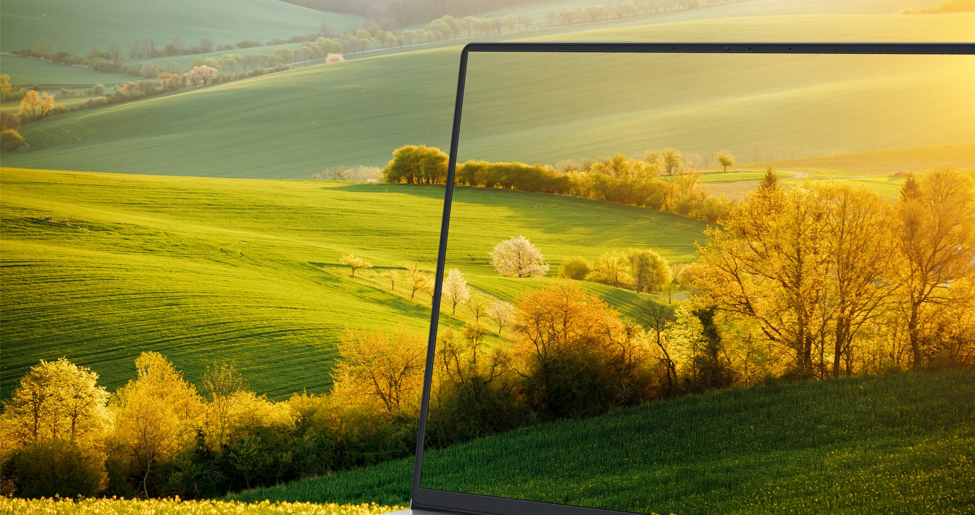 用眼健康 多重保障