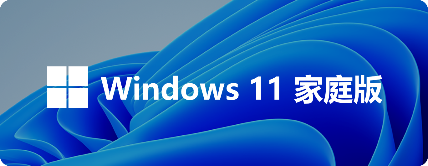 Windows 11