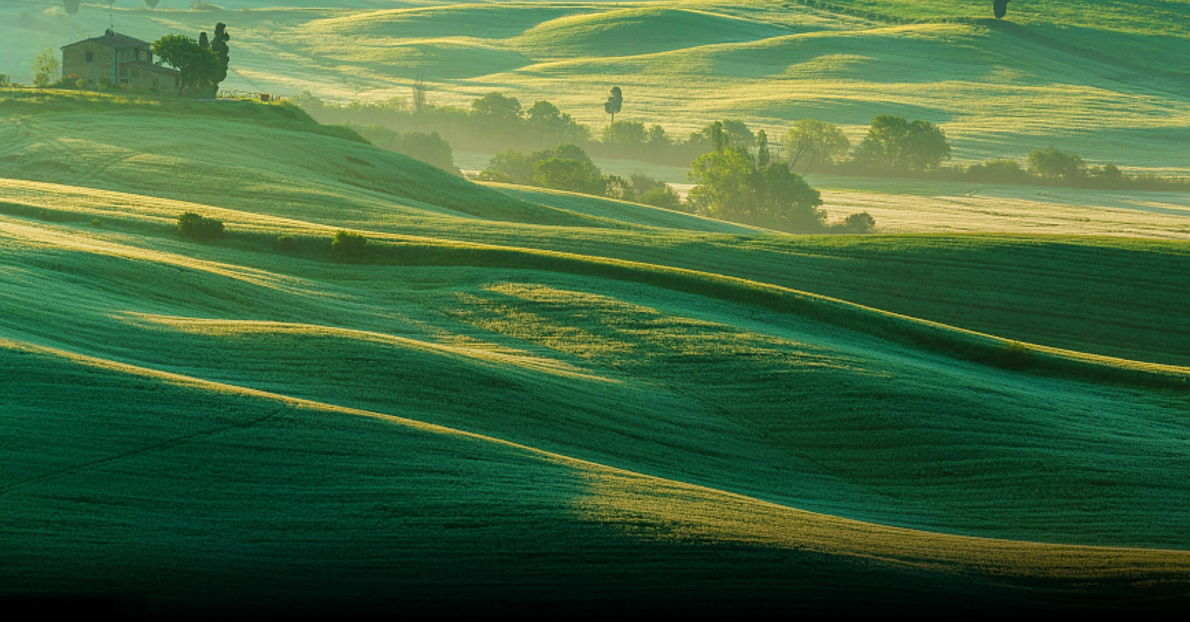 好屏在手 大显身手 2