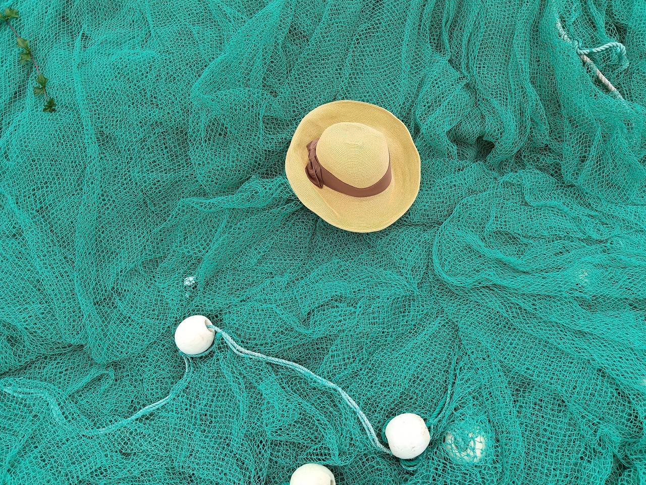 万千光景 一拍即得 2