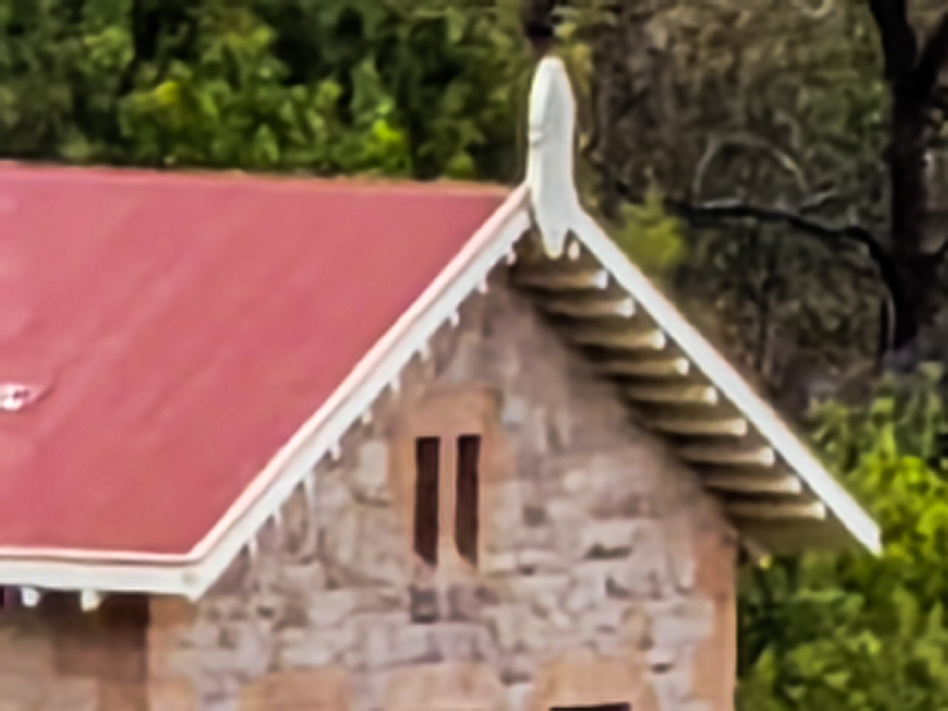 荣耀Magic4 Pro 遥，可及