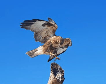 为动容，添从容