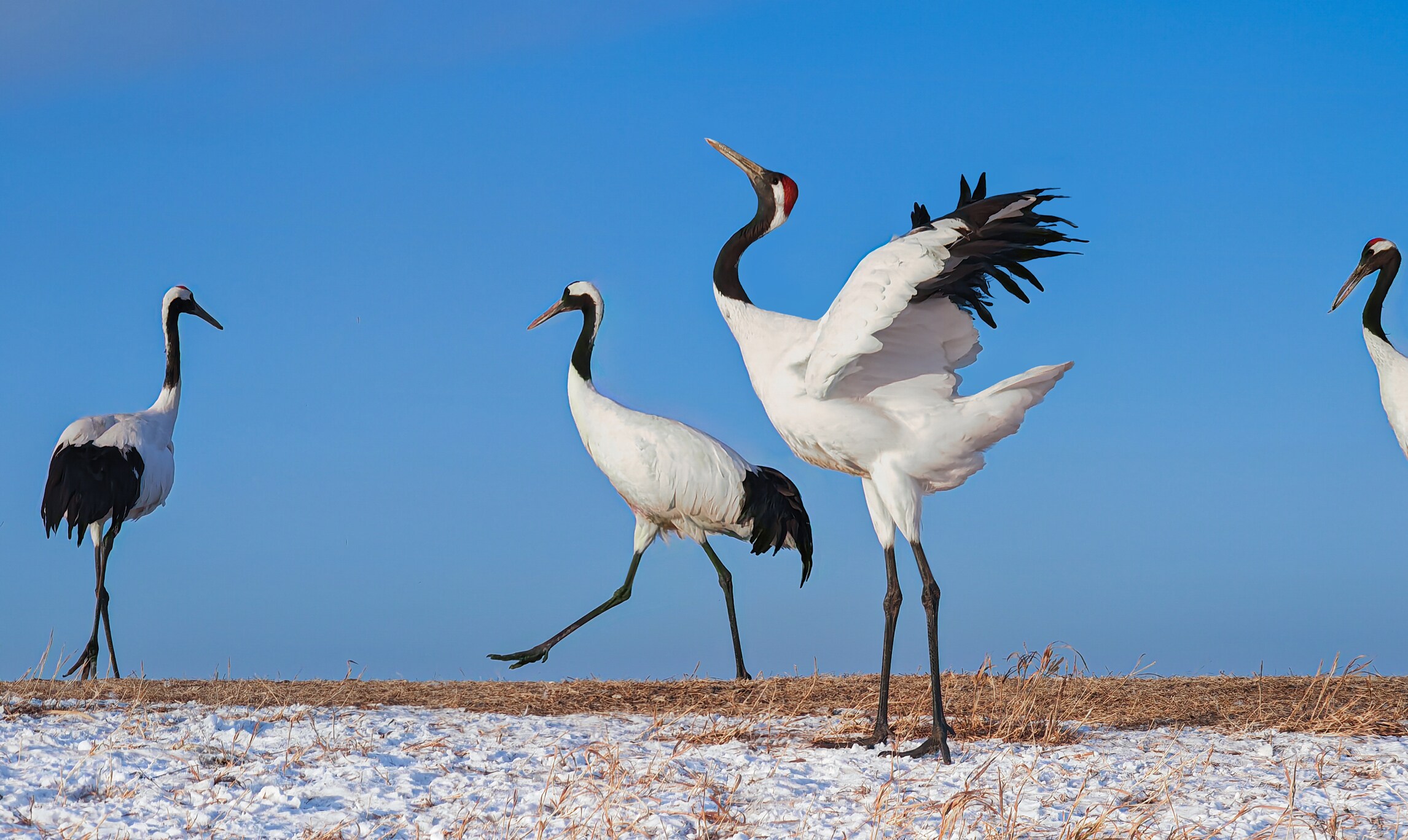 为动容，添从容