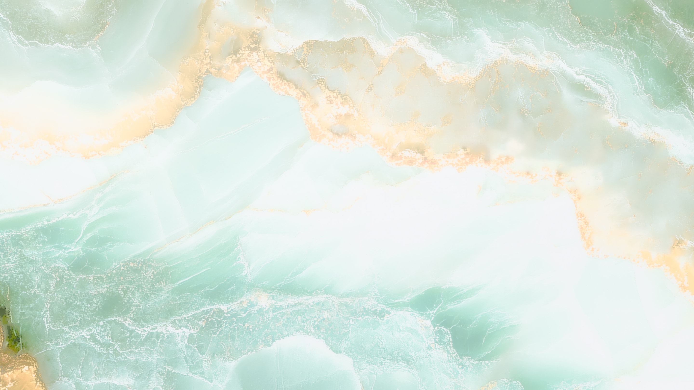 竹韵青 1