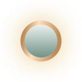 竹韵青 3