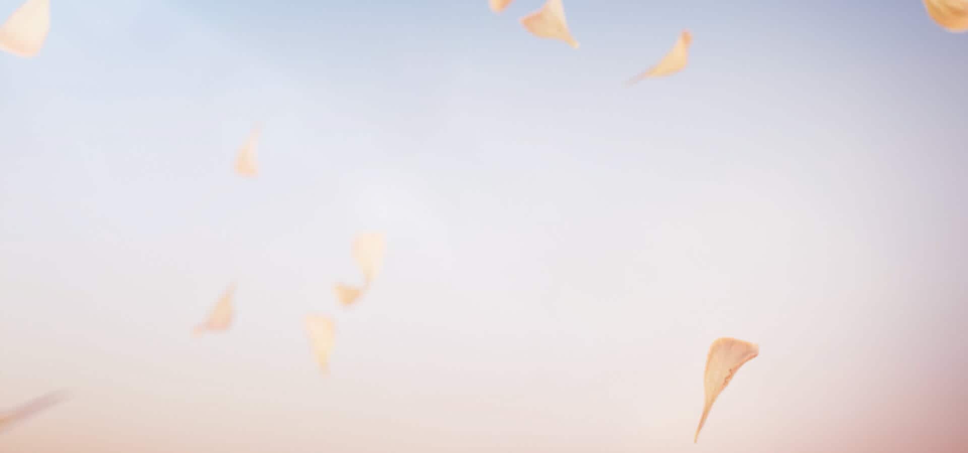 荣耀60 Pro 朱丽叶