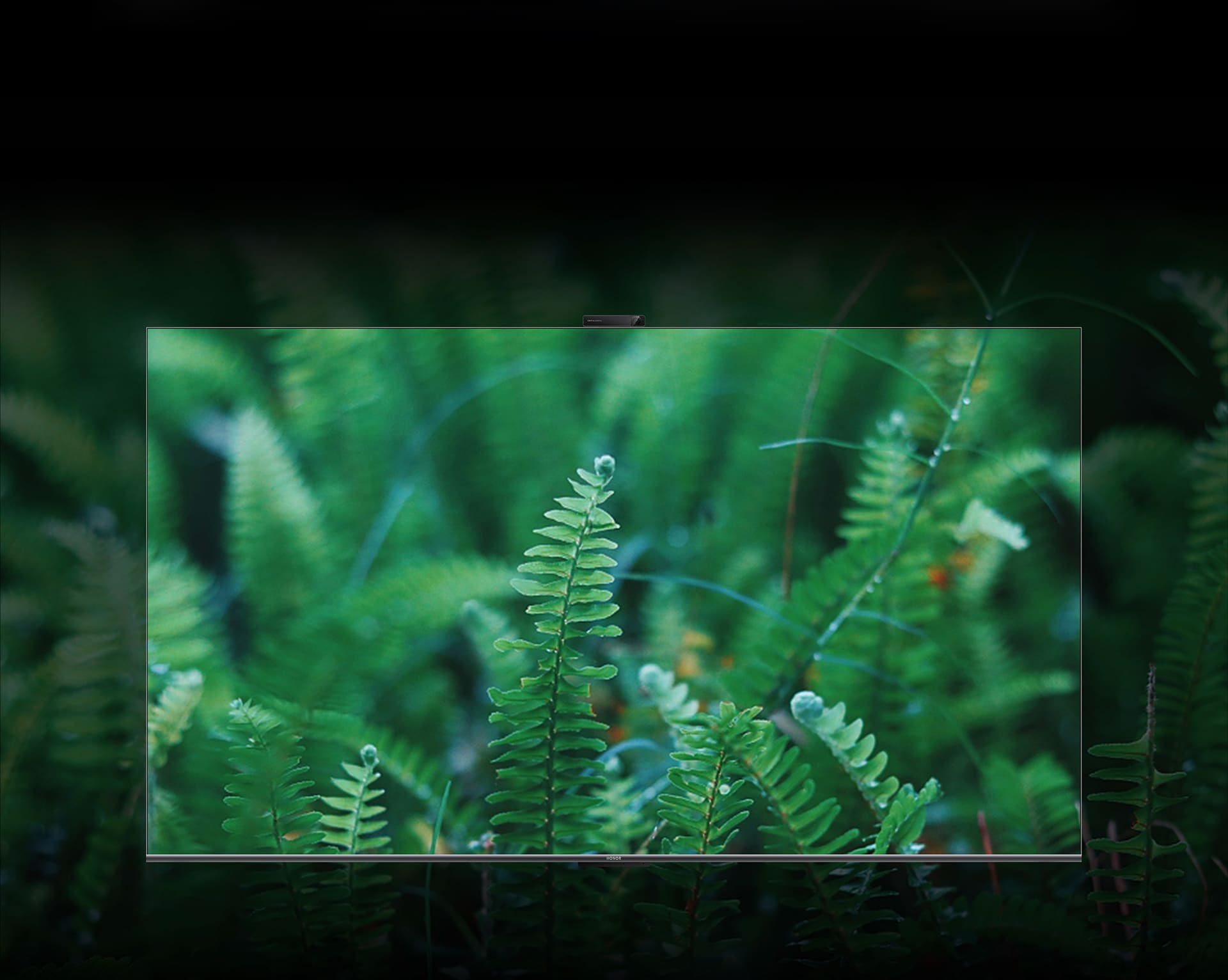 轻松护眼 健康视界 2