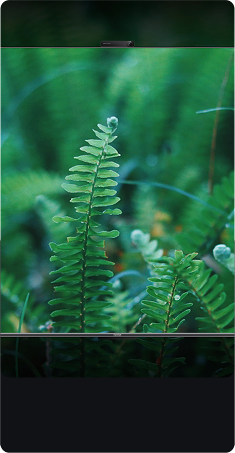 德国莱茵TÜV 无频闪护眼认证