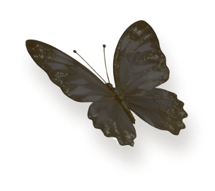 浮光跃影 彰显格调 6