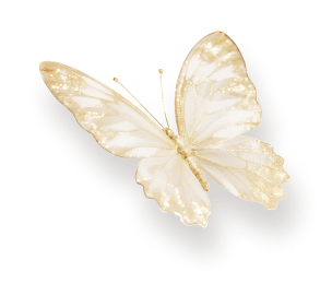 浮光跃影 彰显格调 7