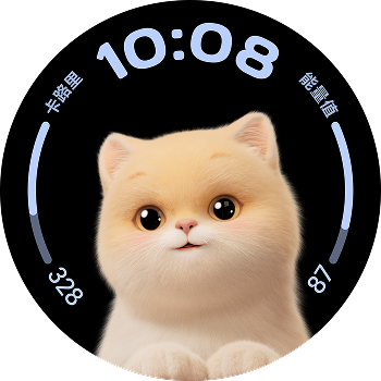 丰富表盘 4