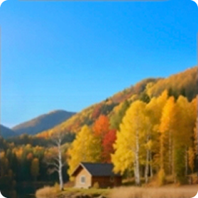 荣耀 AI 赋能你的生活 - 10