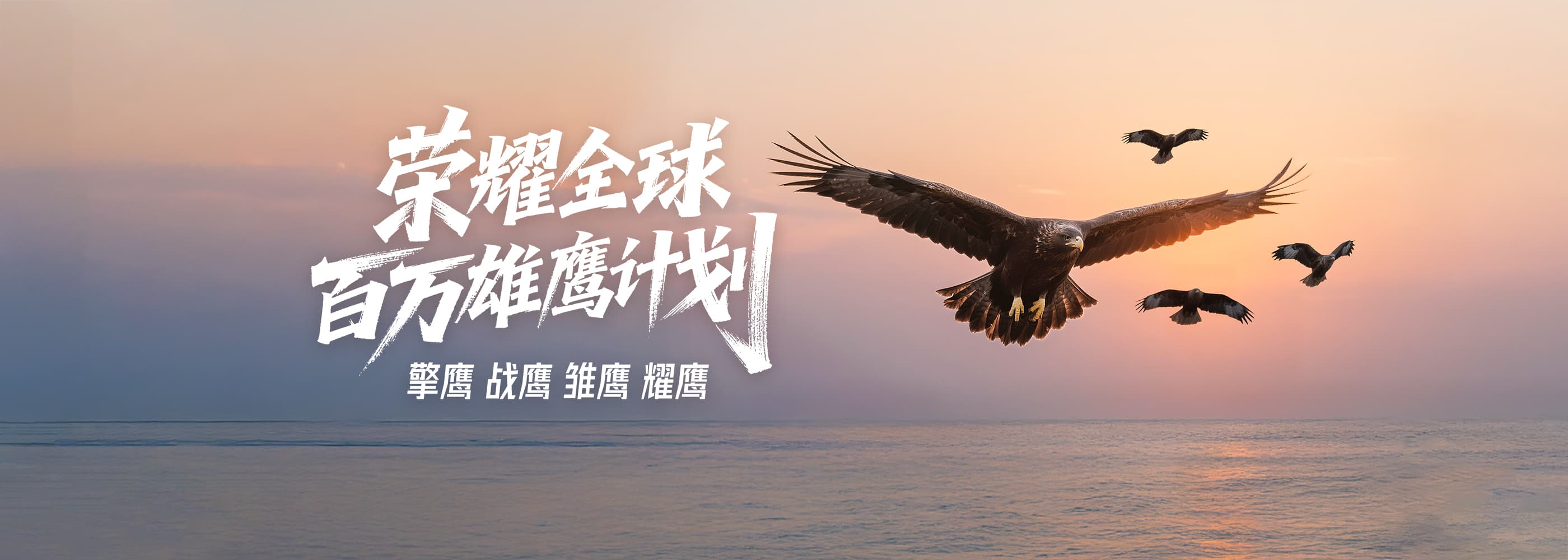 荣耀全球百万雄鹰计划