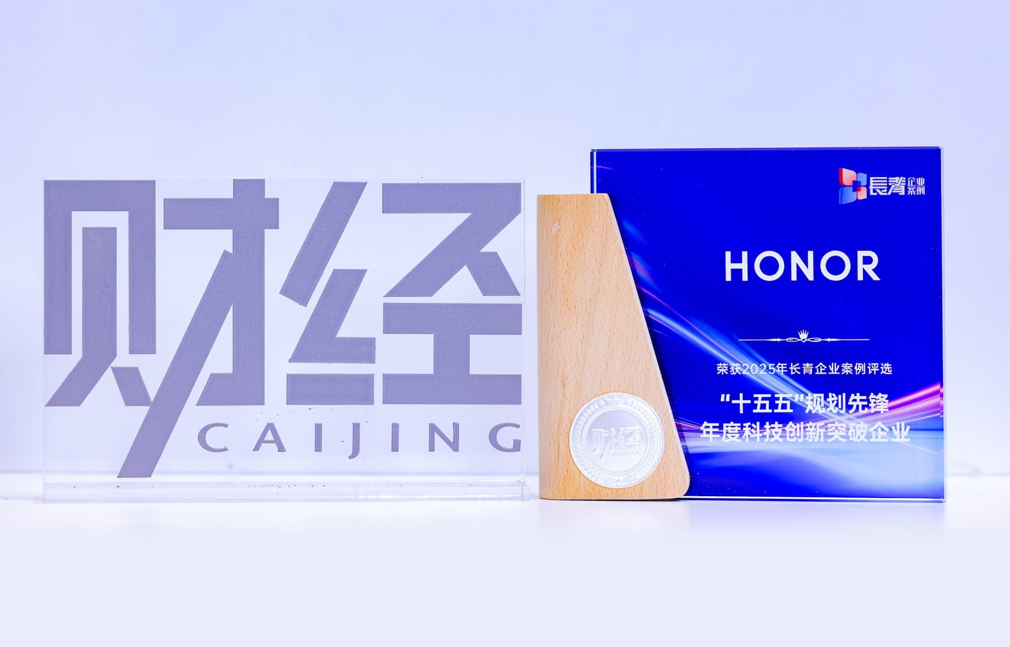 《财经》杂志主办的可持续发展论坛上，荣耀获得“年度科技创新突破企业”称号
                