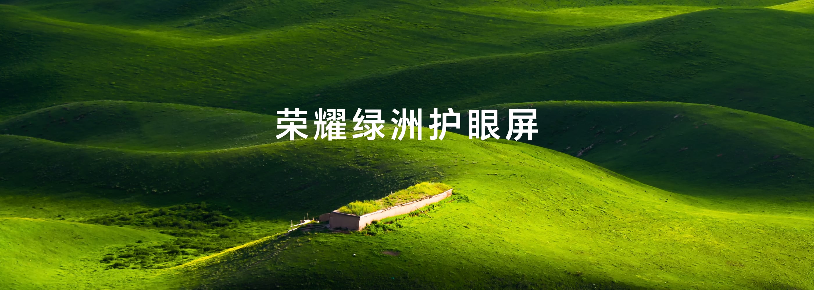荣耀绿洲护眼屏