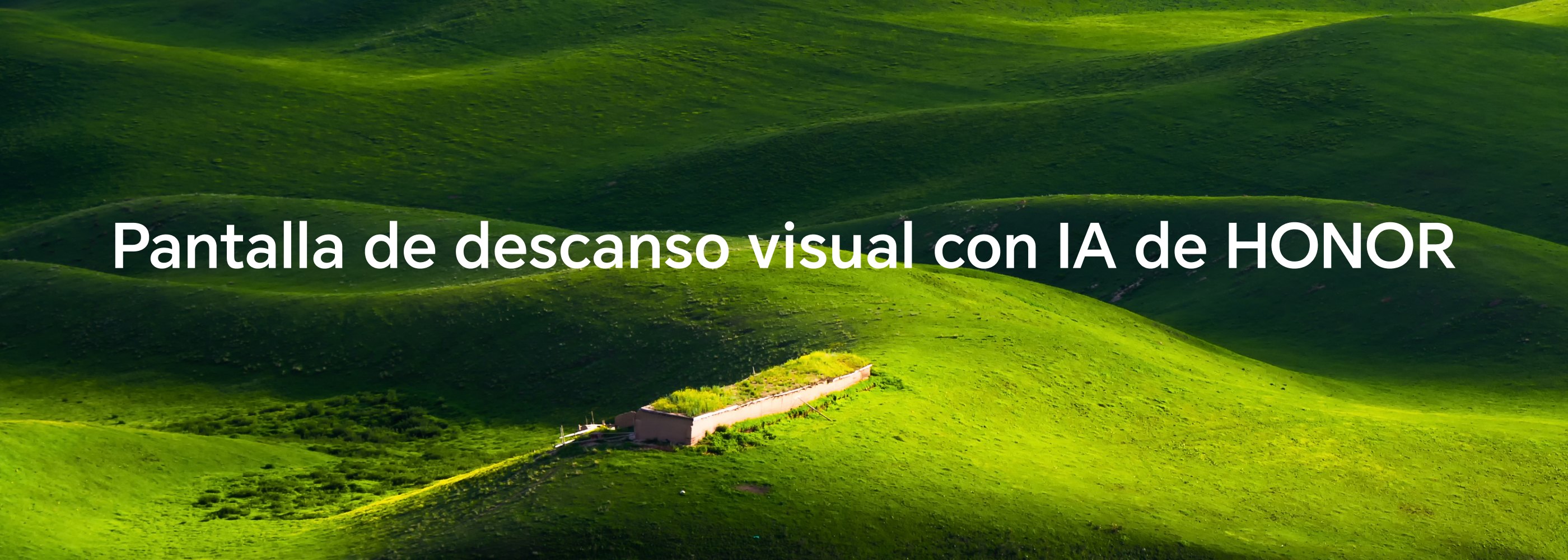 Pantalla de descanso visual con IA de HONOR