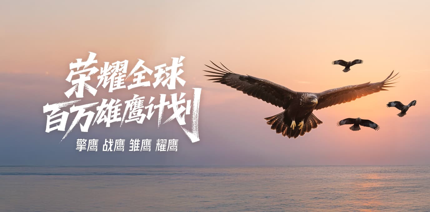荣耀全球百万雄鹰计划