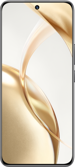 HONOR N Series