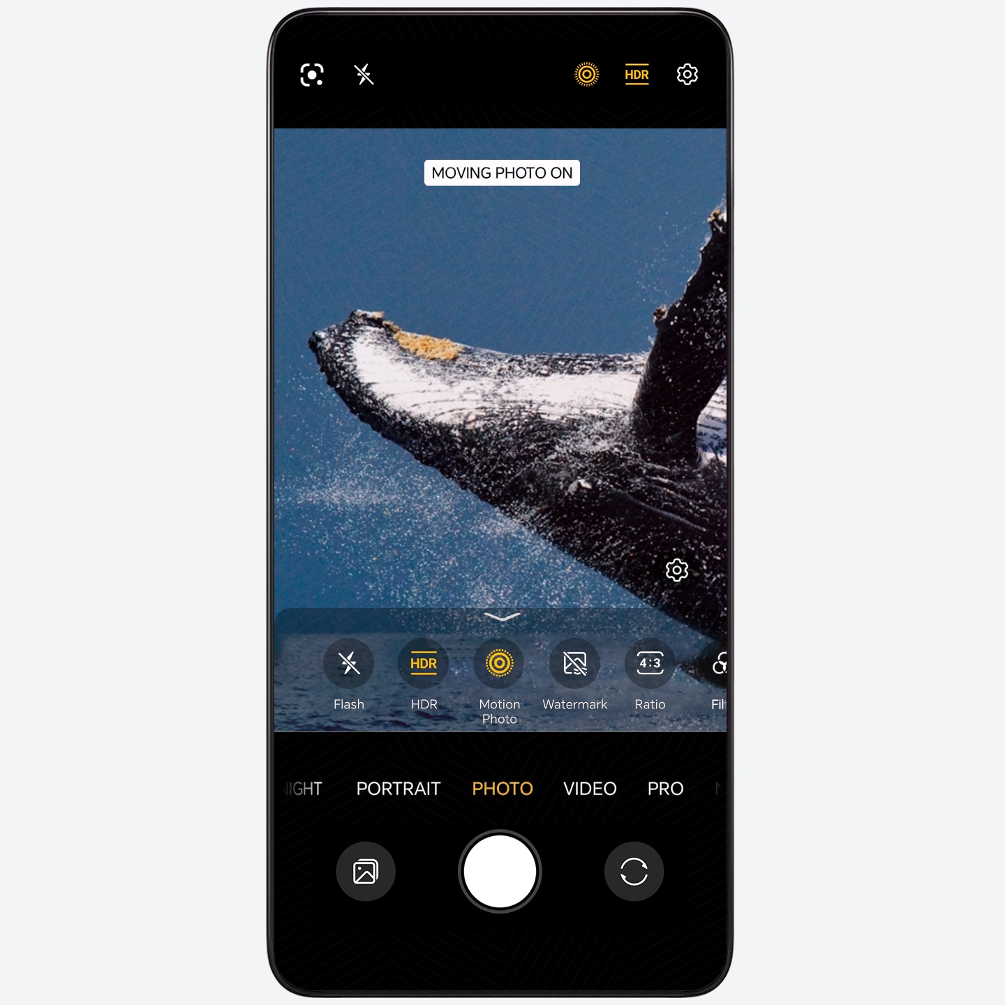 Capture Wonderful Dynamic Moments via Moving Photo