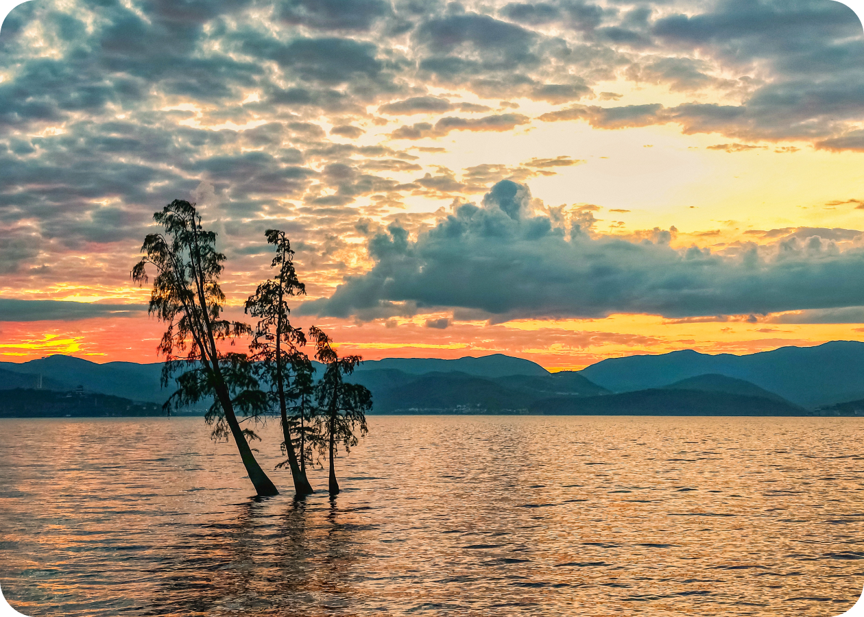 The RAW domain algorithm adds depth and texture to every frame, shaping stories through light.