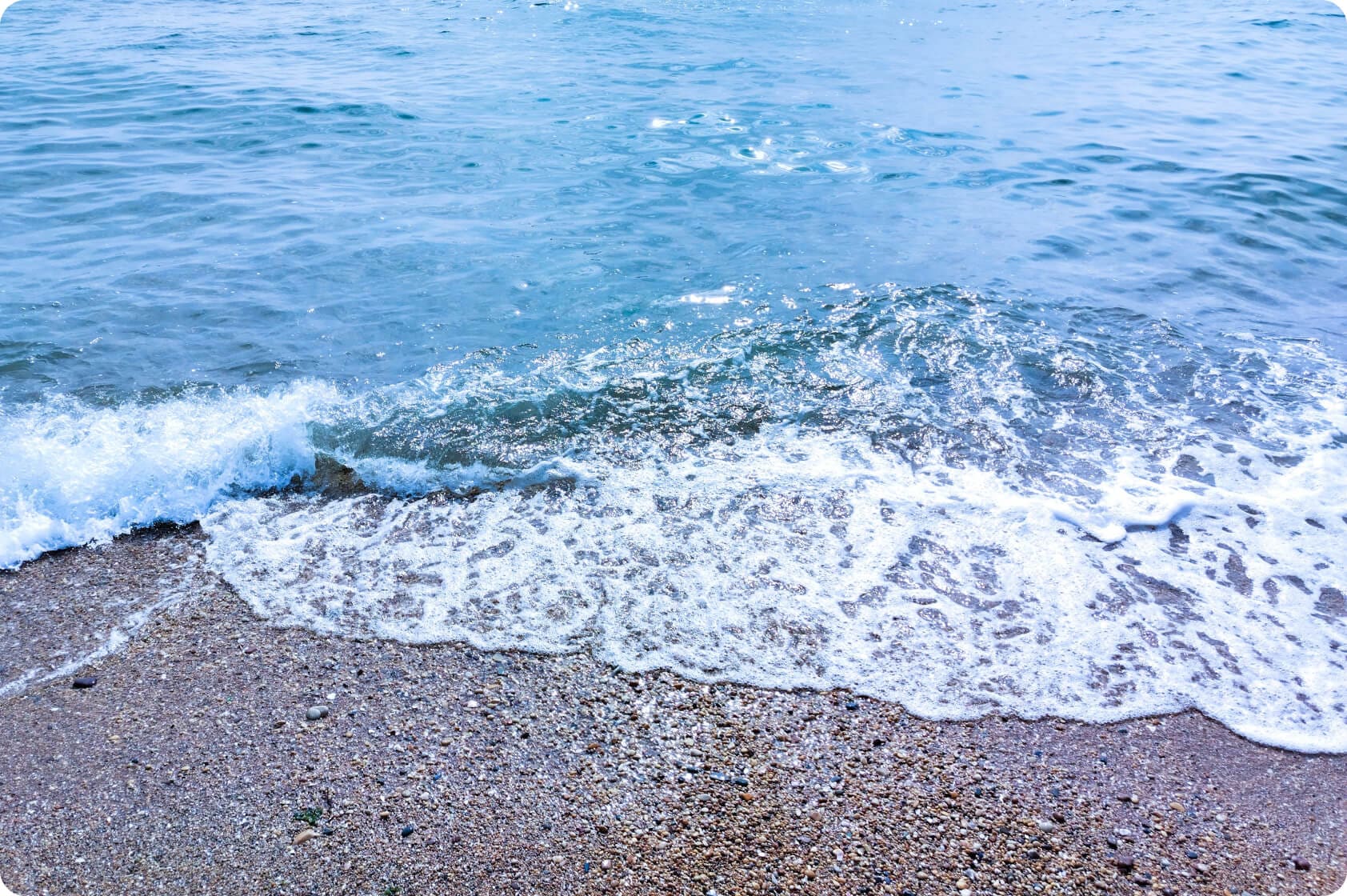 التقط أروع لحظات الحياة  2