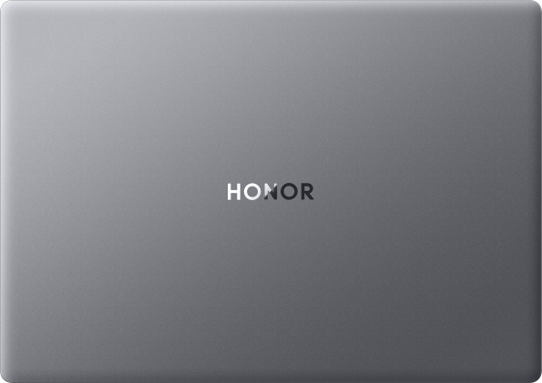 HONOR MagicBook X 14 Pro 2024 Серый