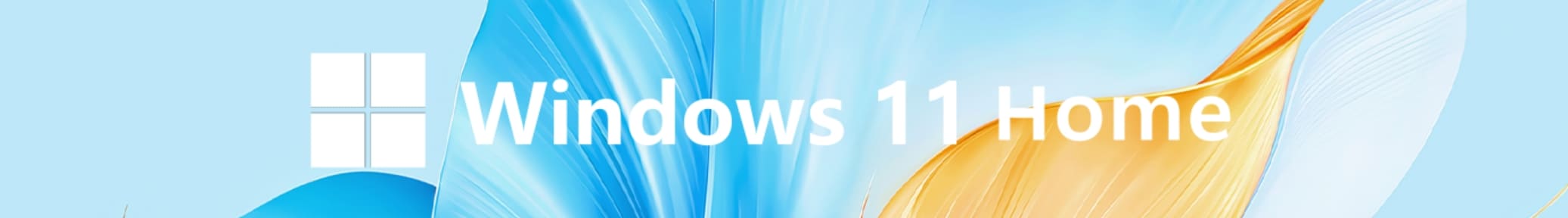 windows 11 home