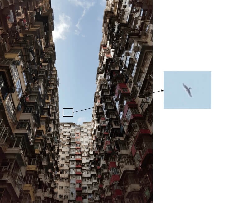 How to take good photos with HONOR 20