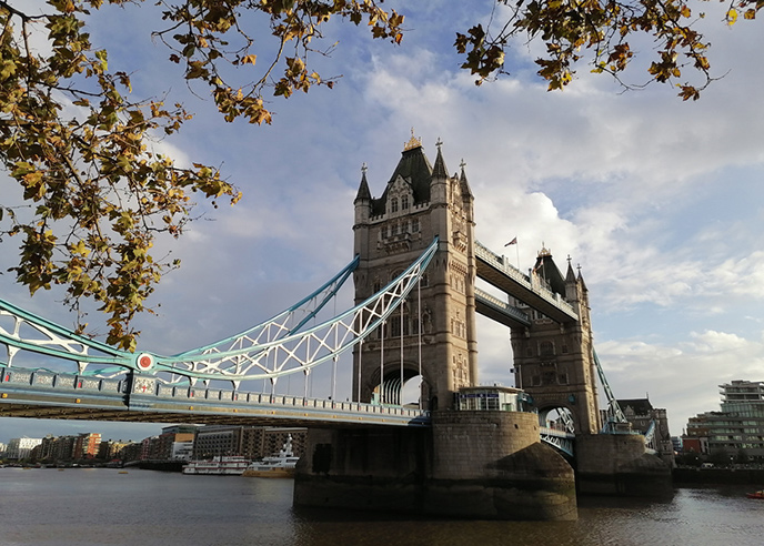 Breathtaking 48 MP Images Shot on the HONOR 9X