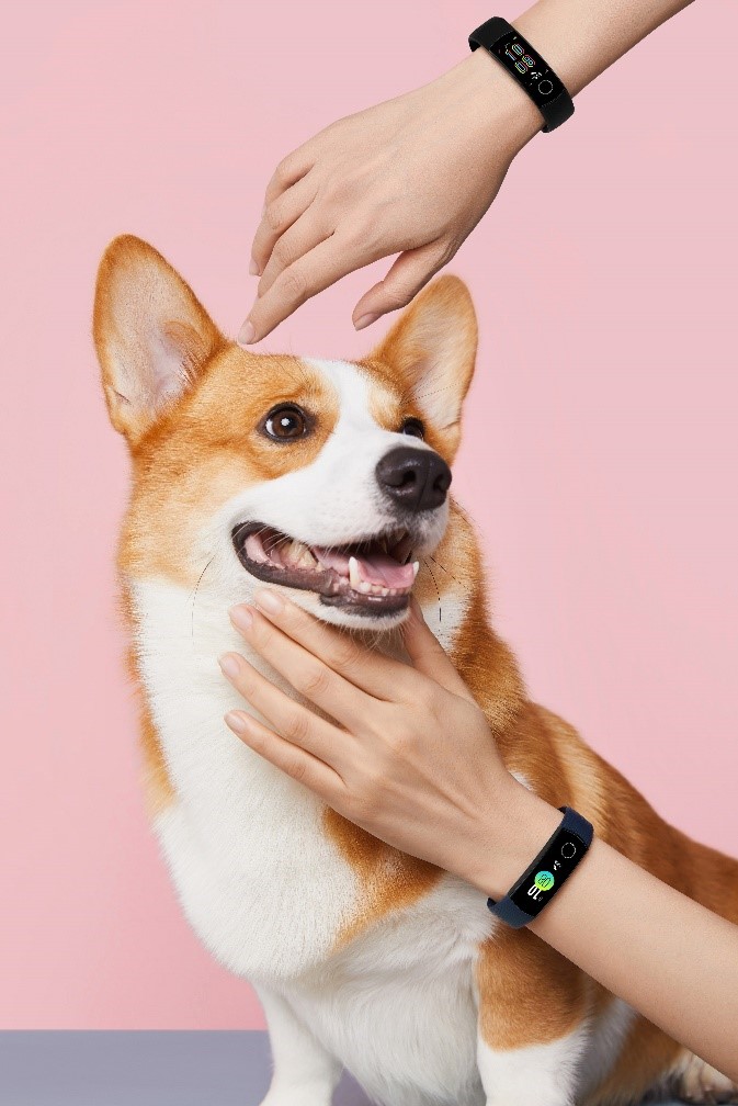 HONOR Band 5 and Band 5 Sport, which should you choose?