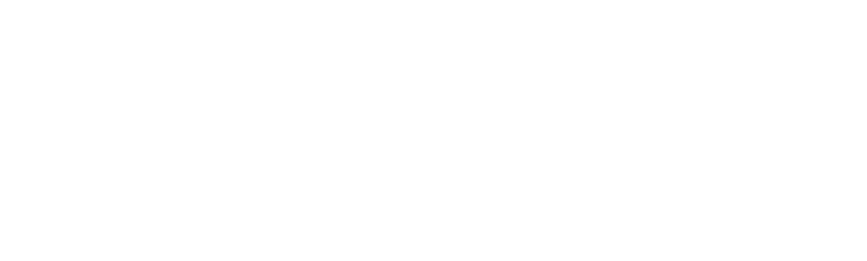 HONOR ROBOT PHONE Users Wish Plan - KV 2