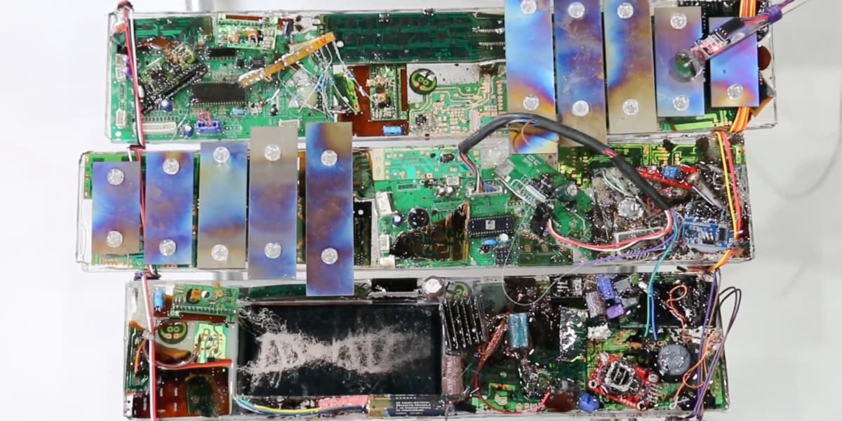 Best New Talent Award