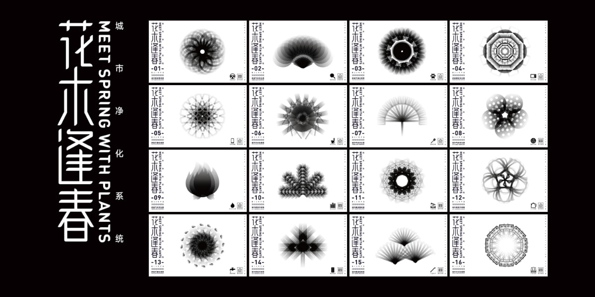 Best New Talent Award