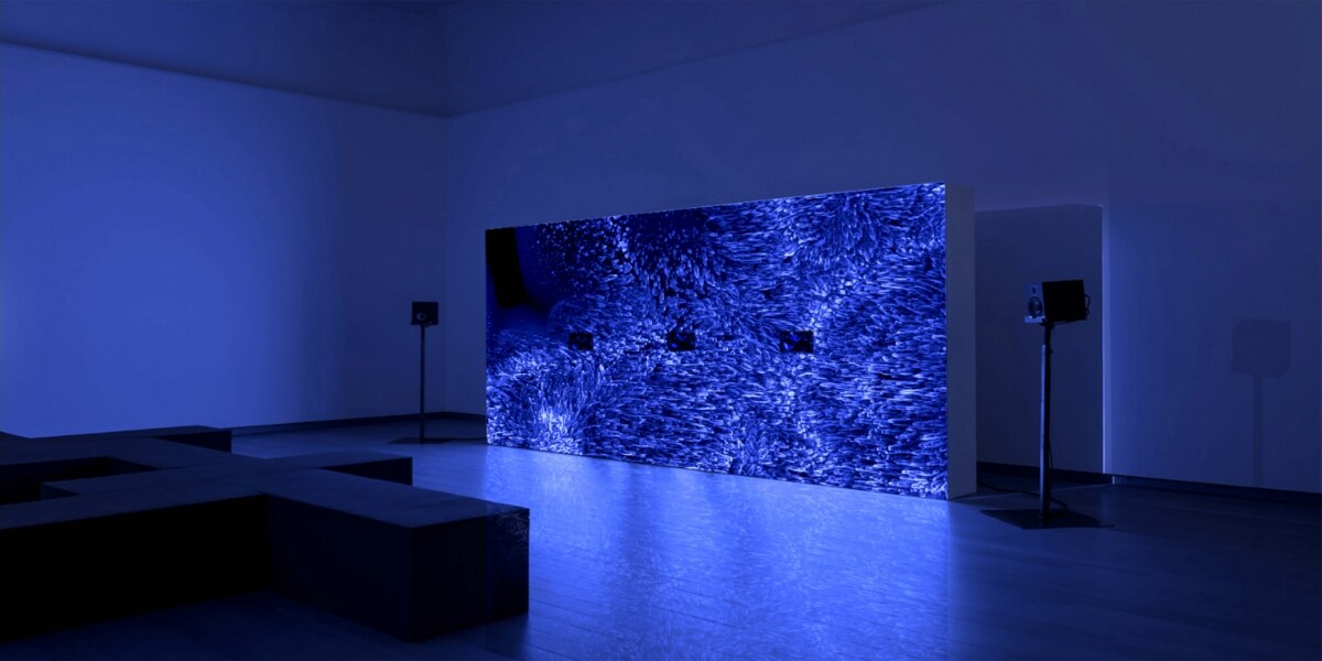 Ocenění pro nejlepší nový talent