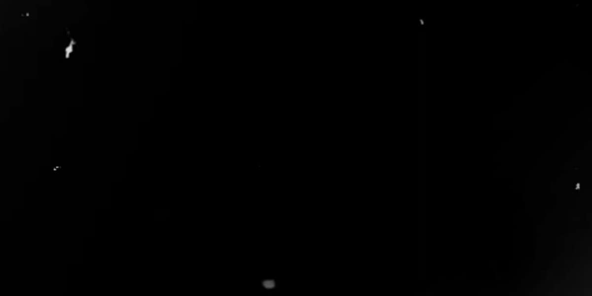 Best New Talent Award