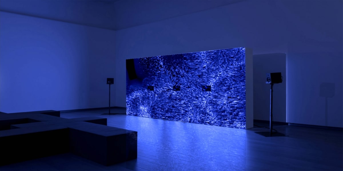 Prix du meilleur nouveau talent